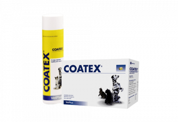 Coatex