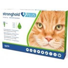 Stronghold Plus Kat