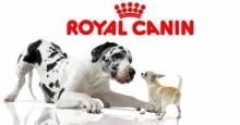 Royal Canin in een nieuw jasje!