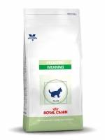 Royal Canin Pedriatic Weaning